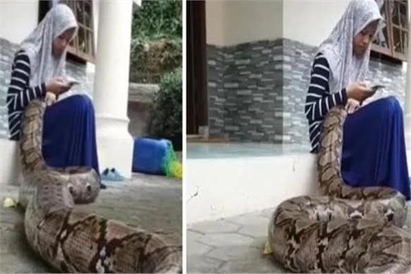 ثعبان ضخم ينام في حضن فتاة
