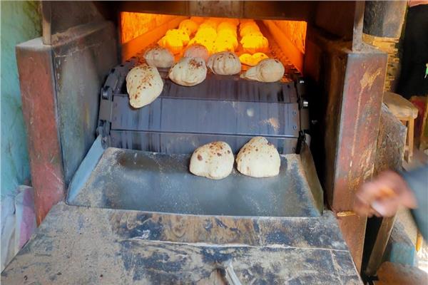 حملة تموينية مكبرة بالبياضية
