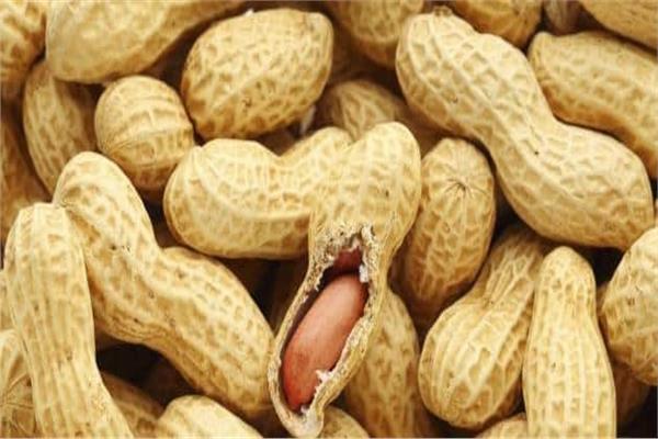  الفول السوداني