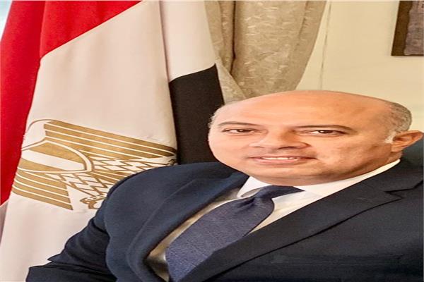 السفير محمد إبراهيم الشناوي