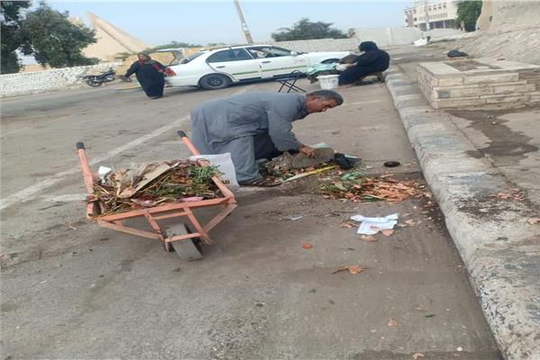 رفع ٥٠ طن مخلفات وقمامه بقرى المنيا