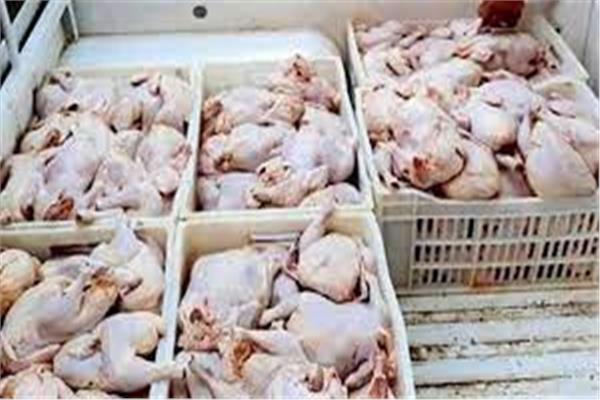 مقطعات دواجن