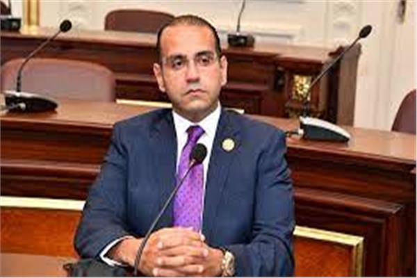 النائب محمد المنزلاوى