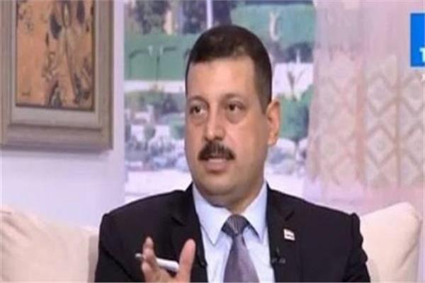 الدكتور أيمن حمزة المتحدث باسم وزارة الكهرباء