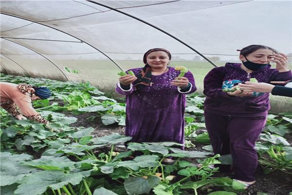 وفد من الأمم المتحدة يزور مصر الأسبوع المقبل 