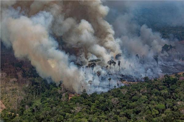 صورة أرشيفية