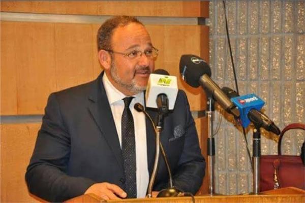 المهندس عمرو أبو السعود