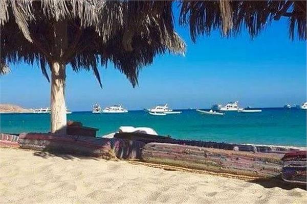  جزيرة "أبو منقار"