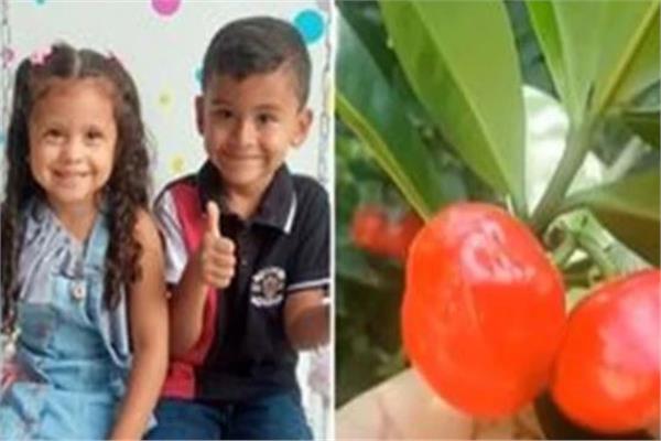 ثمرة فوق شجرة تنهي حياة شقيقين