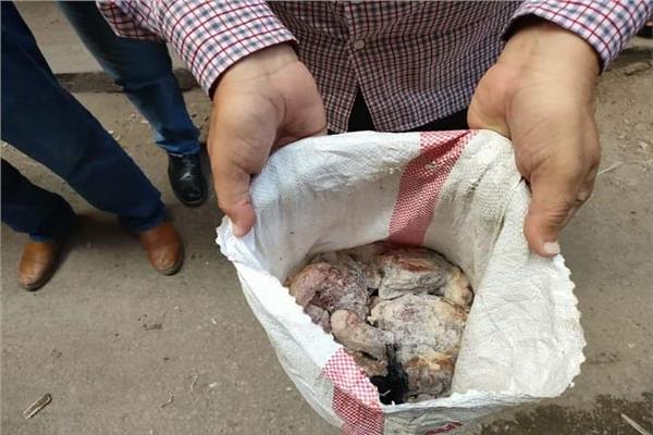 الوحدة المحلية بمركز ومدينة المحمودية