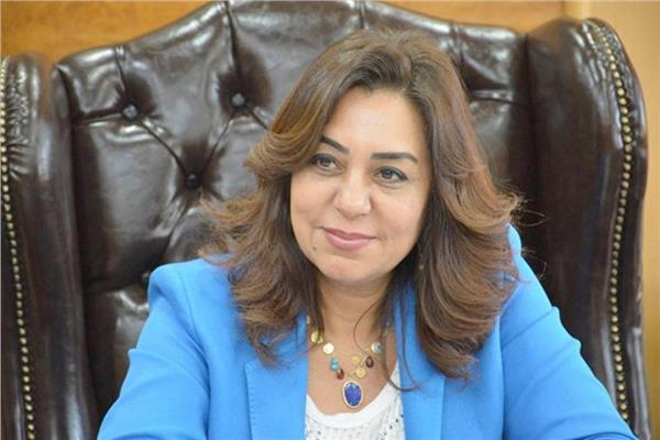 محافظ دمياط 