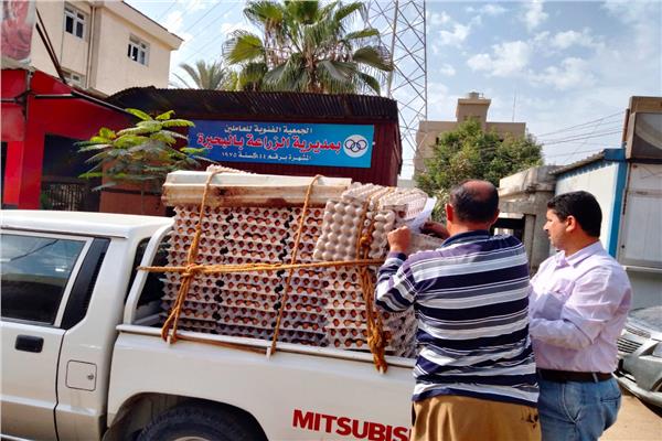 زراعة بالبحيرة تطرح كميات كبيرة من كراتين البيض بالأسواق بأسعار مخفضة