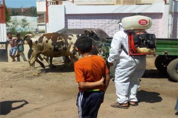 صورة موضوعية