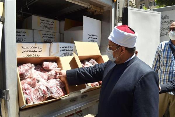 الأوقاف توزيع 10 أطنان لحوم أضاحي غدًا السبت‎‎