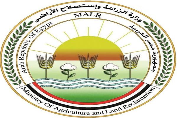صورة موضوعية