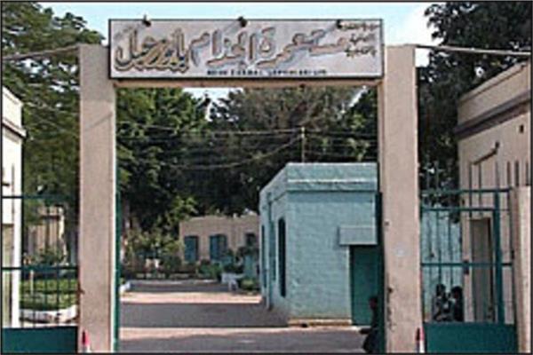 صورة موضوعية