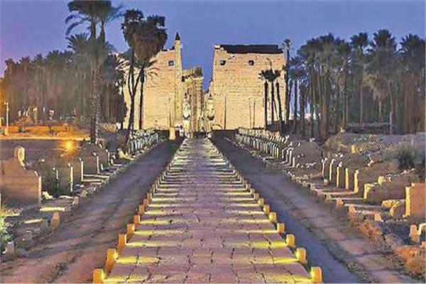 ظريق الكباش