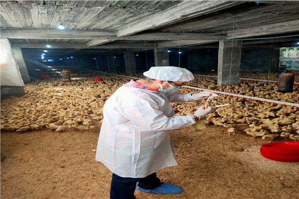 توفير الرعاية البيطرية