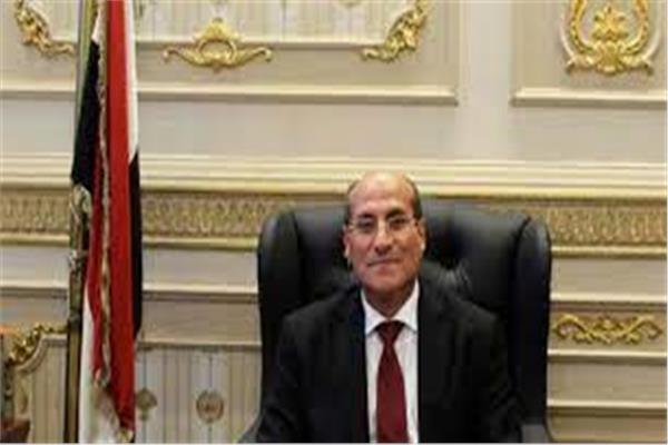  المستشار عبد الله شوضة رئيس محكمة النقض