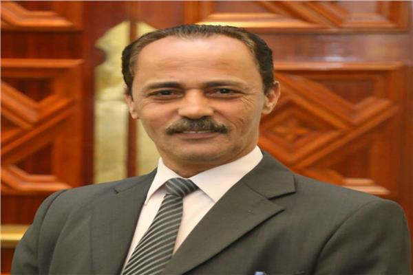 محمد قناوي
