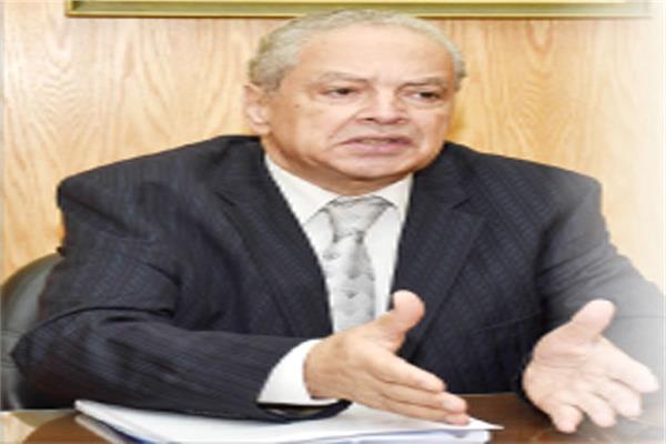 د. إكرام بدر الدين أستاذ العلوم السياسية بجامعة القاهرة لـ «الأخبار»: