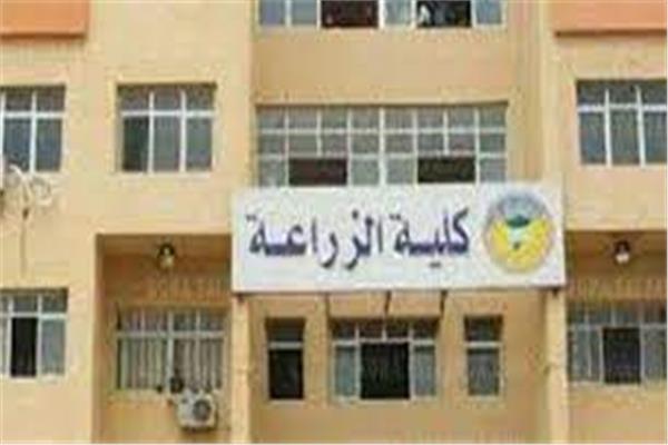 صورة موضوعية