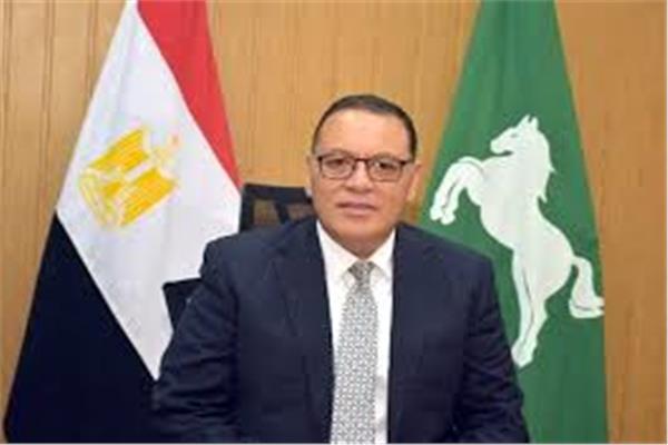 محافظ الشرقية