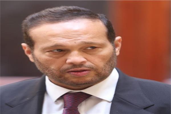 النائب محمد حلاوة
