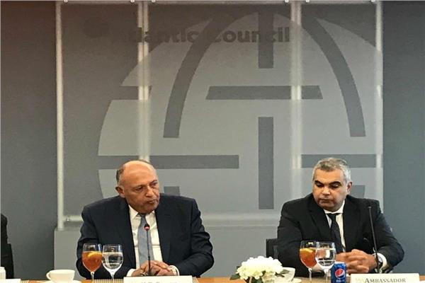  شكري يستعرض رؤية مصر مع نظيره الأمريكي بالحوار الاستراتيجي 