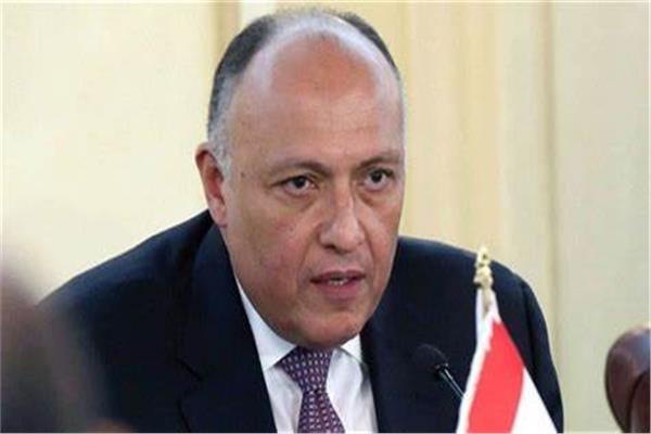 وزير الخارجية السفير سامح شكرى