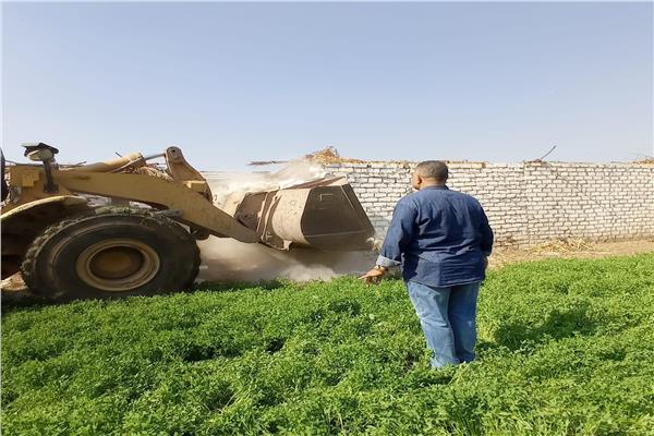 صورة موضوعية