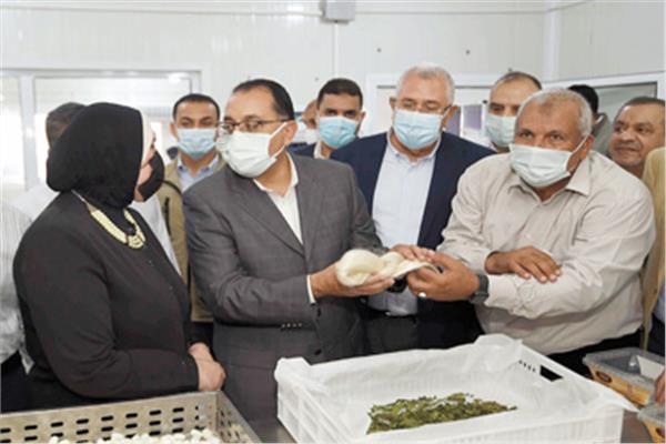 رئيس الوزراء خلال جولته بمشروع مبادرة الحرير والصوب الزراعية