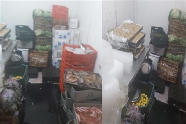 ضبط 4 طن أسماك مستوردة مجهولة المصدر بالاسكندريه