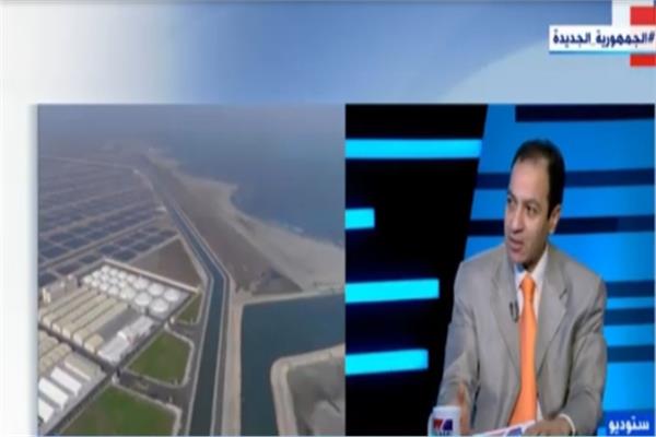 الدكتور هشام إبراهيم، أستاذ التمويل والاستثمار بجامعة القاهرة