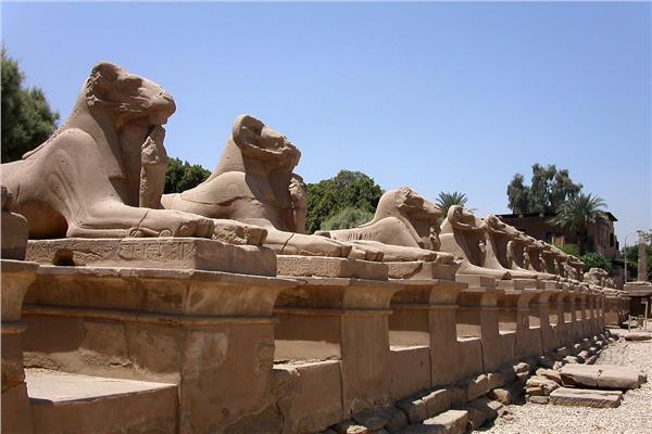 صورة موضوعية
