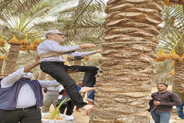 السفير اليابانى يودع مصر