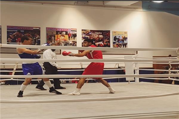 بطولة الجامعات  للملاكمة