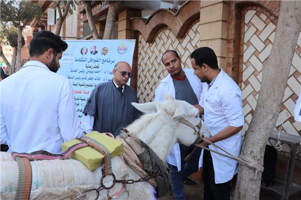 صورة موضوعية