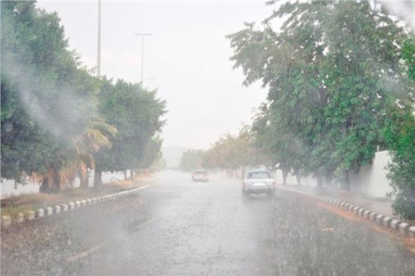 صورة موضوعية