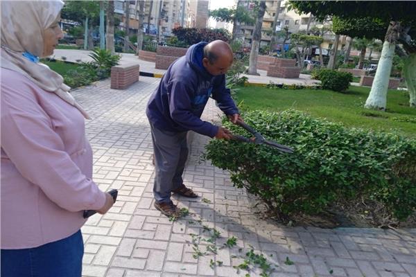 صورة موضوعية