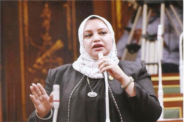 النائبة سولاف درويش، وكيل لجنة القوى العاملة بالبرلمان
