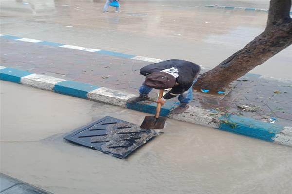 صورة موضوعية