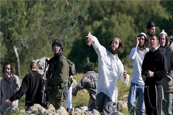 وكالة أنباء أرجنتينية: أكثر من 450 هجومًا للمستوطنين ضد الفلسطينيين