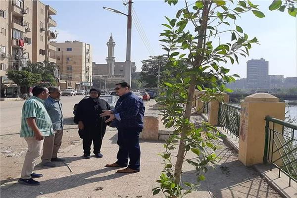 صورة موضوعية