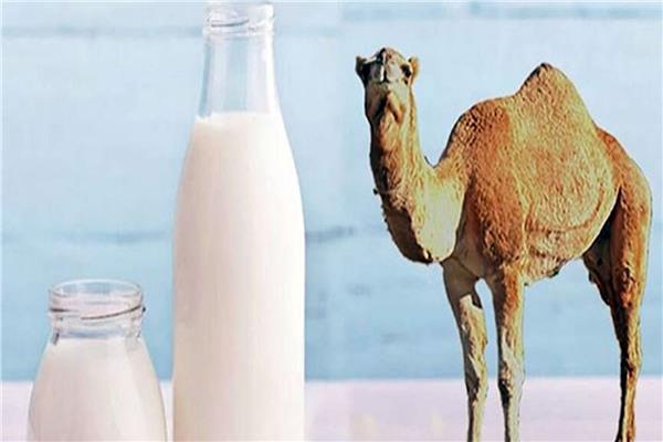 صورة ارشيفيه