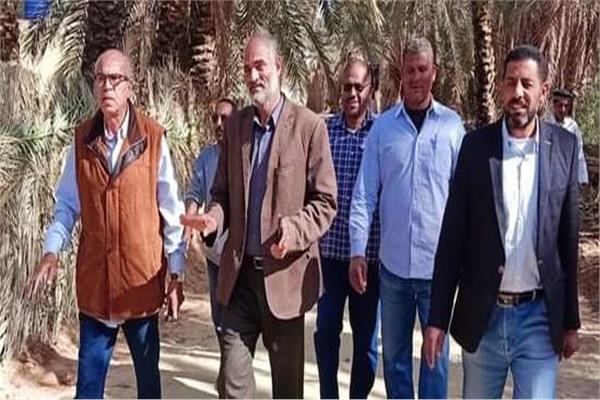 صورة موضوعية