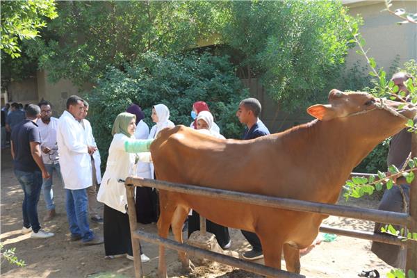 قافلة متعددة التخصصات لجامعة جنوب الوادى بقرية الحراجية بمركز قوص