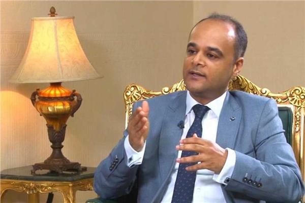 السفير نادر سعد، المتحدث باسم مجلس الوزراء