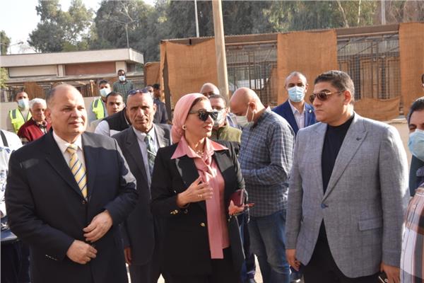 صورة موضوعية