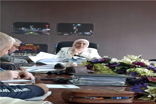 المهندسة جيهان عبد المنعم نائب محافظ القاهرة للمنطقة الجنوبية